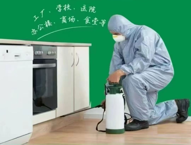 四害消杀服务